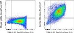 Sendai virus HN Antibody in Flow Cytometry (Flow)