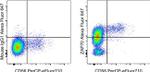 ZAP-70 Antibody in Flow Cytometry (Flow)