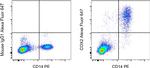 COX2 Antibody in Flow Cytometry (Flow)