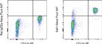 Sall1 Antibody in Flow Cytometry (Flow)