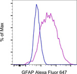 GFAP Antibody in Flow Cytometry (Flow)