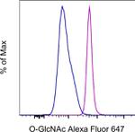 O-GlcNAc Antibody in Flow Cytometry (Flow)