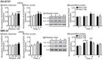 ALK Antibody in Western Blot (WB)