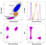 CD4 Antibody in Flow Cytometry (Flow)