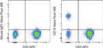 CD19 Antibody in Flow Cytometry (Flow)