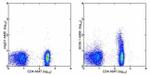 CD25 Antibody in Flow Cytometry (Flow)