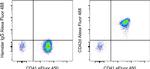 CD42d Antibody in Flow Cytometry (Flow)