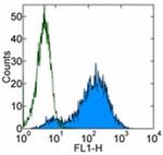 CD107a (LAMP-1) Antibody in Flow Cytometry (Flow)