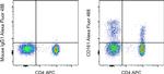 CD161 Antibody in Flow Cytometry (Flow)