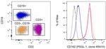 CD162 (PSGL-1) Antibody