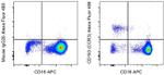 CD193 (CCR3) Antibody in Flow Cytometry (Flow)