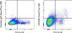 CD209b (SIGN-R1) Antibody in Flow Cytometry (Flow)