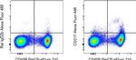 CD317 (BST2, PDCA-1) Antibody in Flow Cytometry (Flow)