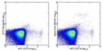 CD317 (BST2, PDCA-1) Antibody in Flow Cytometry (Flow)