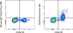 CD335 (NKp46) Antibody in Flow Cytometry (Flow)