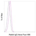 Rabbit IgG Isotype Control in Flow Cytometry (Flow)