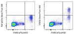 VSIG4 Antibody in Flow Cytometry (Flow)