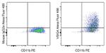 VSIG4 Antibody in Flow Cytometry (Flow)