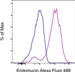 Endomucin Antibody in Flow Cytometry (Flow)