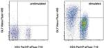 GL7 Antibody in Flow Cytometry (Flow)