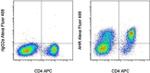 AHR Antibody in Flow Cytometry (Flow)