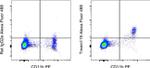 Tmem119 Antibody in Flow Cytometry (Flow)