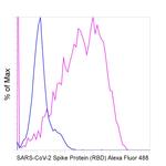 SARS-CoV-2 Spike Protein (RBD) Chimeric Antibody in Flow Cytometry (Flow)