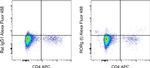 ROR gamma (t) Antibody in Flow Cytometry (Flow)