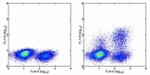 IL-2 Antibody in Flow Cytometry (Flow)