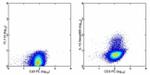 IL-10 Antibody in Flow Cytometry (Flow)