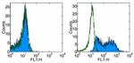 IL-12/IL-23 p40 Antibody in Flow Cytometry (Flow)