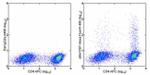 IL-17A Antibody in Flow Cytometry (Flow)