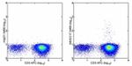 IL-17A Antibody in Flow Cytometry (Flow)