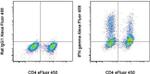 IFN gamma Antibody in Flow Cytometry (Flow)