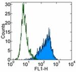 SSEA4 Antibody in Flow Cytometry (Flow)