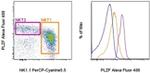 PLZF Antibody in Flow Cytometry (Flow)