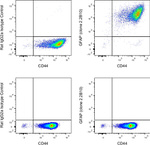 GFAP Antibody