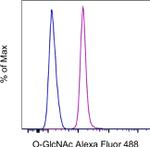 O-GlcNAc Antibody in Flow Cytometry (Flow)