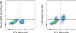 c-MAF Antibody in Flow Cytometry (Flow)