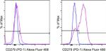 CD279 (PD-1) Antibody in Flow Cytometry (Flow)