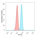 BCL11A/CTIP1 (Transcription Factor) Antibody in Flow Cytometry (Flow)