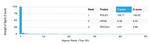 POLE3/CHRAC17 Antibody in Peptide array (ARRAY)