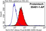 VGLUT1 Antibody in Flow Cytometry (Flow)