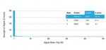 Perforin-1 (Pore Forming Protein) (Apoptosis Marker) Antibody in Peptide array (ARRAY)