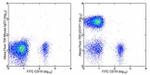 CD3 Antibody in Flow Cytometry (Flow)