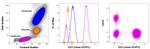 CD3 Antibody in Flow Cytometry (Flow)