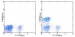 CD4 Antibody in Flow Cytometry (Flow)