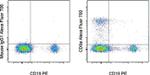 CD8a Antibody in Flow Cytometry (Flow)