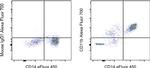 CD11b Antibody in Flow Cytometry (Flow)