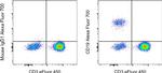 CD19 Antibody in Flow Cytometry (Flow)